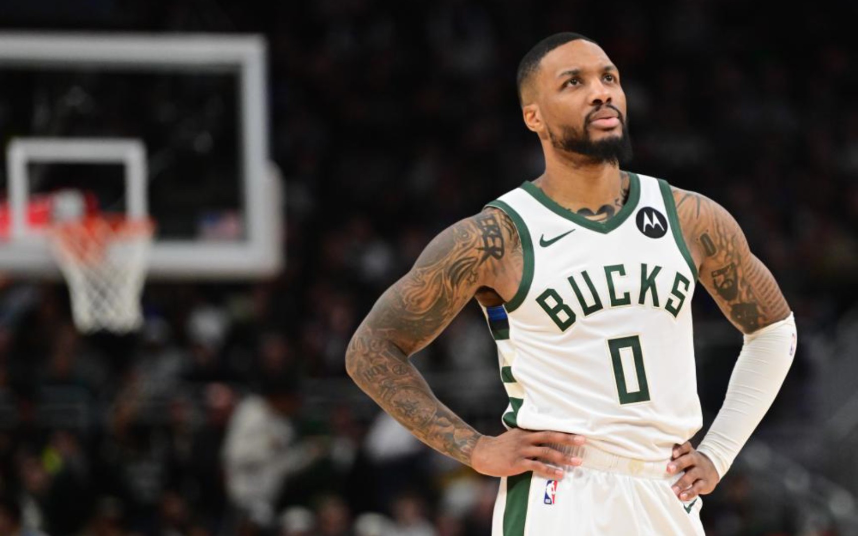 结合观赛日 结合观赛日